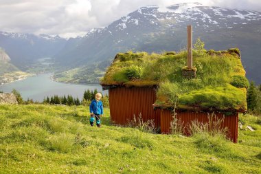 People, adult with kids and pet dog, hiking mount Hoven, enjoying the splendid view over Nordfjord from the Loen skylift