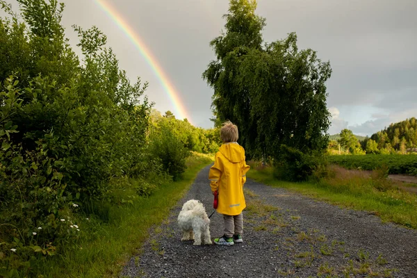Little Child Yellow Raincoat Maltese Dog Walking Path Rainbow Front — Stockfoto