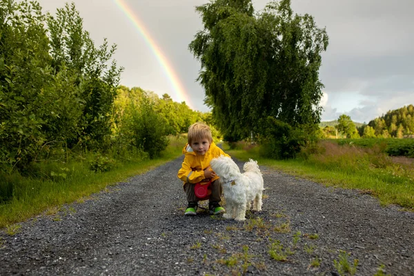 Μικρό Παιδί Κίτρινο Αδιάβροχο Και Μαλτέζικο Σκυλί Περπατώντας Ένα Μονοπάτι — Φωτογραφία Αρχείου