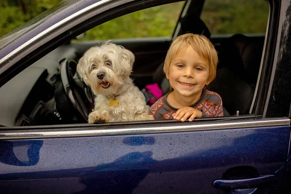 Child Toddler Boy Maltese Dog Staying Car Windon Cold Rainy — Fotografia de Stock