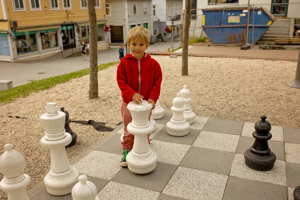 Ребенок Наслаждаясь Местными Играми Одда Шахматы Железный Конь Железный Муравей — стоковое фото