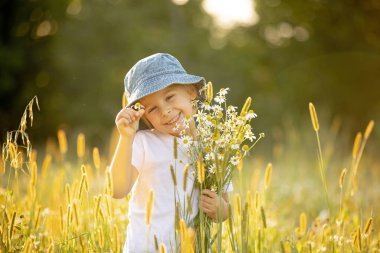 Cute little toddler child, blond boy, eating watermelon in beautiful daisy field on sunset