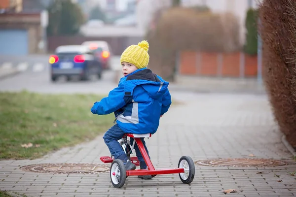 Малыш Тоддлер Катающийся Маленьком Трехколесном Велосипеде Парке Зима — стоковое фото