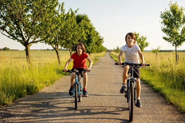 Χαριτωμένα Χαρούμενα Παιδιά Αδέρφια Κάνουν Ποδήλατο Στο Πάρκο Μια Ηλιόλουστη — Φωτογραφία Αρχείου