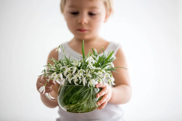 Piękny Chłopiec Mały Blondyn Trzymający Wiosenne Kwiaty Piękne Krople Śniegu — Zdjęcie stockowe