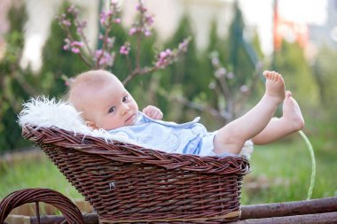 Tramvayda küçük bir çocuk, baharda çiçek açan bahçede sevimli bir tavşanla oynuyor.