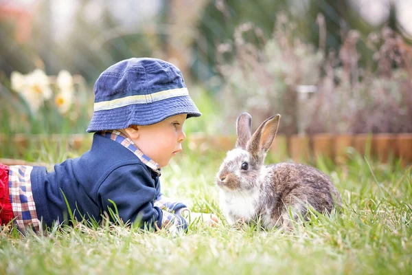 Sweet Toddler Boy Garden Child Playing Little Bunny Springtime Outdoors — Stock Photo, Image