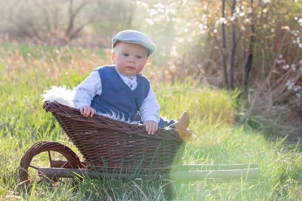 Carino Piccolo Bambino Nel Carrello Giardino Fiorito Con Coniglietto Uova — Foto Stock