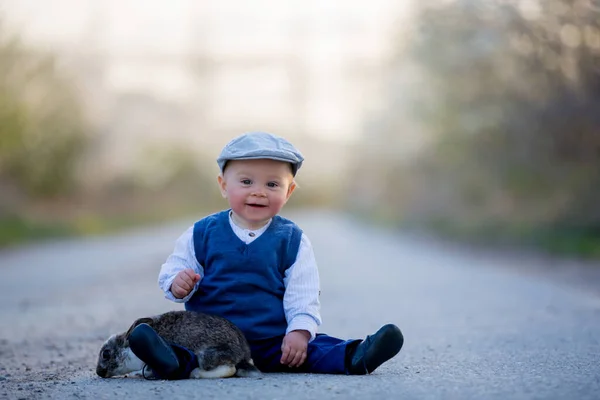 Очаровательный Мальчик Ребенок Играет Маленьким Кроликом Сельской Дороге Цветущими Деревьями — стоковое фото