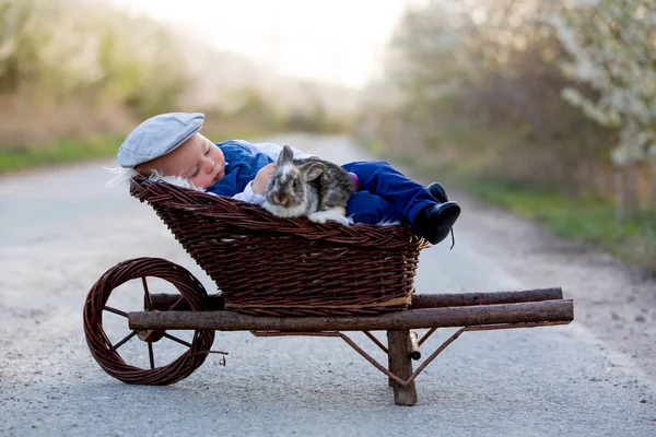 Очаровательный Мальчик Ребенок Играет Маленьким Кроликом Сельской Дороге Цветущими Деревьями — стоковое фото
