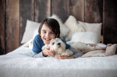 Ergen bir çocuk, evcil hayvanıyla oynuyor. Malta köpeği evde, yatakta.