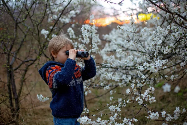 子供たち 双眼鏡で素晴らしい夕日を見て春 — ストック写真