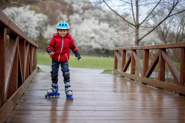 Klein Kind Kleuter Beschermende Uitrusting Rolschaatsen Paardrijden Het Park — Stockfoto