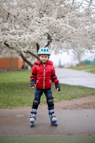 Little Child Preschool Boy Protective Equipment Rollers Blades Riding Walkway — Stock Photo, Image