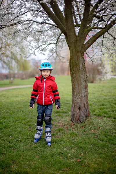 Klein Kind Kleuter Beschermende Uitrusting Rolschaatsen Paardrijden Het Park — Stockfoto