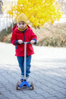 Çocuk, küçük çocuk, parkta scooter sürüyor, bahar zamanı.