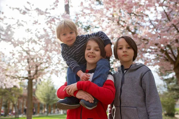 Szczęśliwe Dzieci Rodzeństwo Różowym Kwitnącym Ogrodzie Sacura Bawiące Się Szczęśliwie — Zdjęcie stockowe