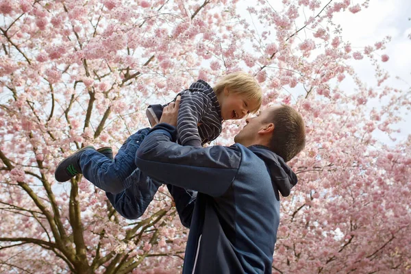 Criança Bonito Menino Brincando Alegremente Rosa Florescendo Jardim Sacura Primavera — Fotografia de Stock