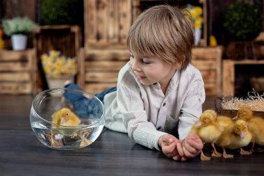 Güzel anaokulu çocuğu, çocuk, evde ördek yavrularıyla oynuyor, stüdyo çekimi.