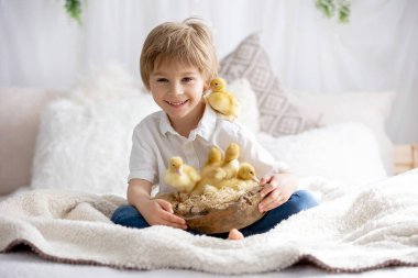 Mutlu güzel çocuklar, küçük güzel ördek yavrularıyla oynuyorsunuz, sevimli tüylü hayvan kuşlarıyla oynuyorsunuz.