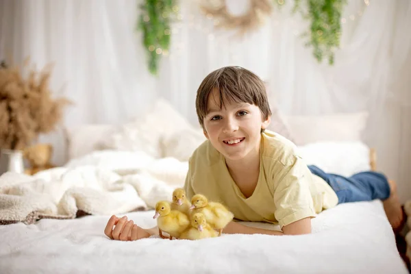 Mutlu Güzel Çocuklar Küçük Güzel Ördek Yavrularıyla Oynuyorsunuz Sevimli Tüylü — Stok fotoğraf