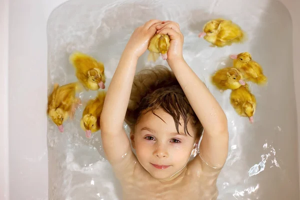 可爱的学龄前儿童 带着小鸭 动物和小孩在浴缸里游泳 — 图库照片