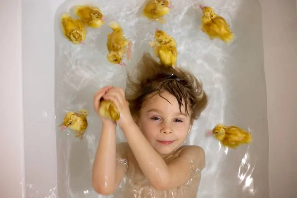 Nettes Vorschulkind Schwimmen Der Badewanne Mit Kleinen Echten Entchen Tier — Stockfoto