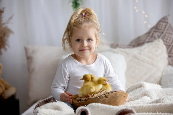 Criança Bonita Feliz Crianças Brincando Com Pequenos Patinhos Bonitos Pássaros — Fotografia de Stock