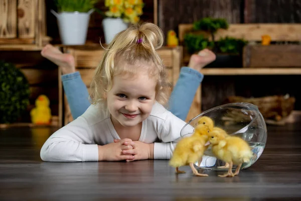 幸せな美しい子供 小さな美しいアヒルと遊ぶ かわいいふわふわの動物の鳥 — ストック写真