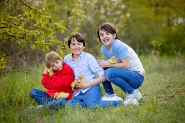 Güzel anaokulu çocuğu, parkta küçük ördeklerle oynuyor.
