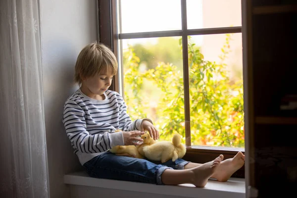 Schöne Vorschulkind Spielen Mit Kleinen Enten Fenster Hause Frühling — Stockfoto