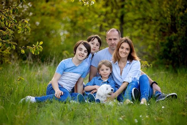 Όμορφη Οικογένεια Στο Πάρκο Λαμβάνοντας Οικογενειακές Φωτογραφίες Πορτρέτο Μαζί — Φωτογραφία Αρχείου