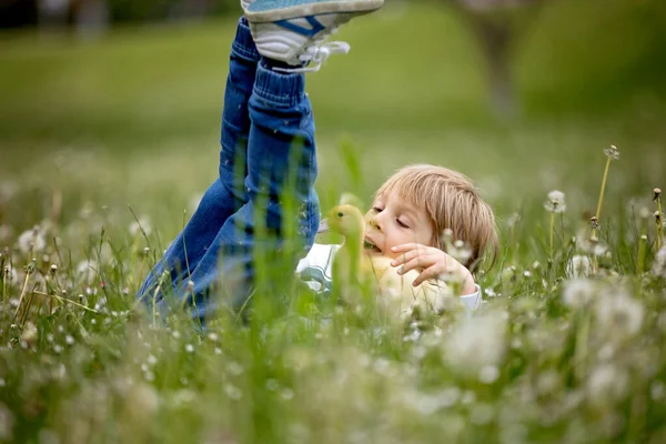 Schöne Vorschulkind Spielt Park Mit Kleinen Enten Und Pustet Löwenzahn — Stockfoto