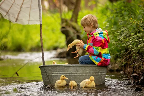 Cute Child Boy Colorful Jacket Playing Boat Ducks Little River — Stock Photo, Image