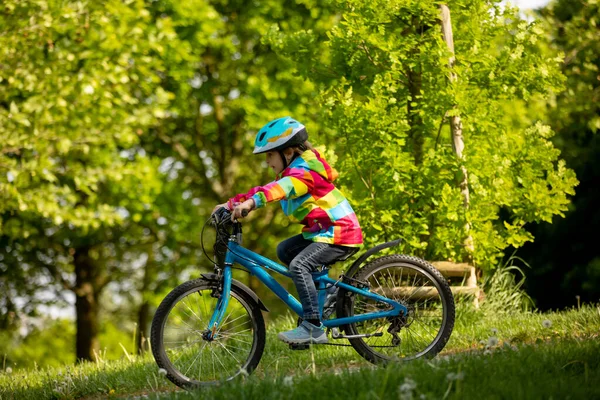 Счастливый Мальчик Веселится Парке Велосипедом Прекрасный День Активный Ребенок — стоковое фото