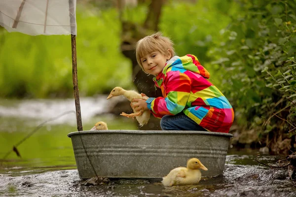 Cute Child Boy Colorful Jacket Playing Boat Ducks Little River — Stock Photo, Image