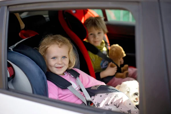 Sevimli Çocuklar Erkek Kız Kardeşler Araba Koltuklarında Oturuyorlar Seyahat Ediyorlar — Stok fotoğraf