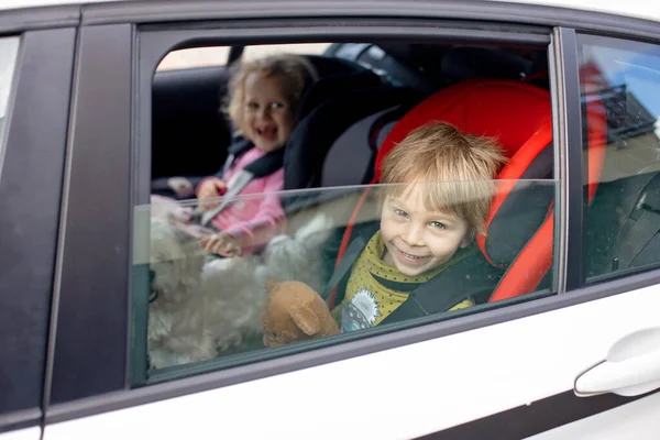 Sevimli Çocuklar Erkek Kız Kardeşler Araba Koltuklarında Oturuyorlar Seyahat Ediyorlar — Stok fotoğraf