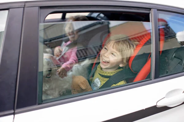 かわいい子供たちは 男の子と女の子の兄弟 車の中で車の座席に座って 家族旅行に行く家族 — ストック写真