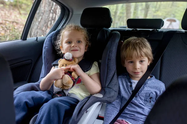Bambini Carini Fratelli Maschi Femmine Seduti Auto Viaggio Famiglia Andare — Foto Stock
