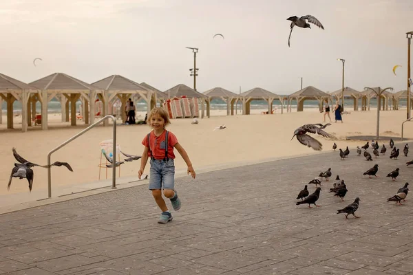Enfant Garçon Courir Sur Plage Tel Aviv Avec Des Pigeons — Photo