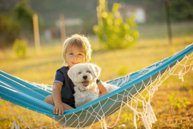 Happy child, cute boy, swinging on hammock swing in garden with his pet dog, maltese dog on sunset