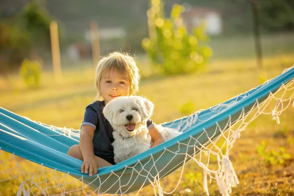 Happy Child Cute Boy Swinging Hammock Swing Garden His Pet — Stock fotografie