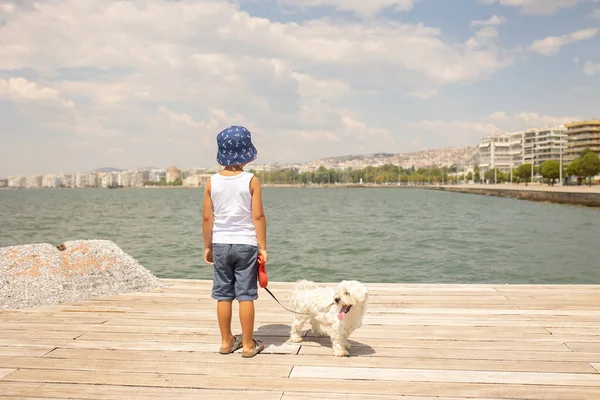 Παιδί Επισκέπτεται Θεσσαλονίκη Καλοκαίρι Σκυλάκι Και Την Οικογένειά Του Ελλάδα — Φωτογραφία Αρχείου