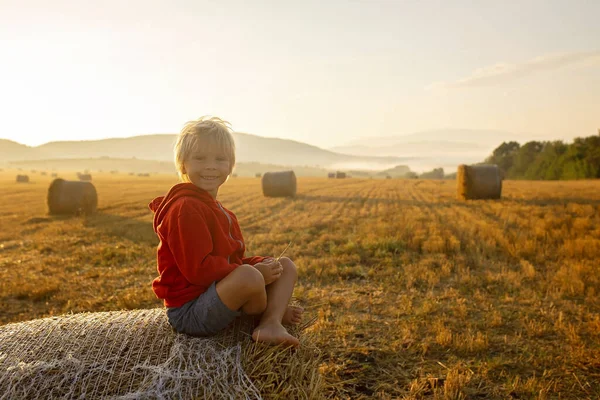 Сладкий Малыш Мальчик Сидит Стоге Сена Поле Восходе Солнца Наслаждаясь — стоковое фото