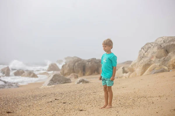 Piękne Blond Dziecko Chłopiec Zbieranie Muszli Plaży Portugalii Pochmurny Mglisty — Zdjęcie stockowe