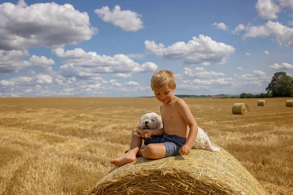 Beautiful Blond Child Boy Lying Haystack Field Amazing Landscape Rural — Stock Photo, Image
