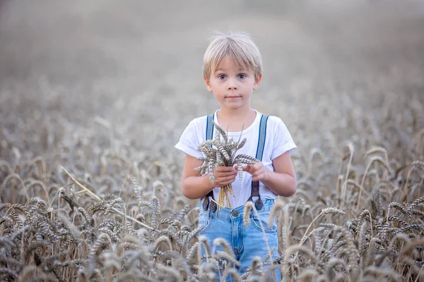 Sladké Blonďaté Batole Chlapče Hrající Pšeničném Poli Při Západu Slunce — Stock fotografie