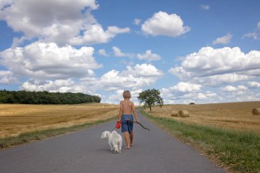 Güzel sarışın çocuk, evlat, kırsal yolda tatlı küçük köpeğiyle yürüyor. Şaşırtıcı manzara, bulutlu kırsal manzara, ağaç ve boş yol yaz zamanı, yolun yanındaki saman yığını, Portekiz