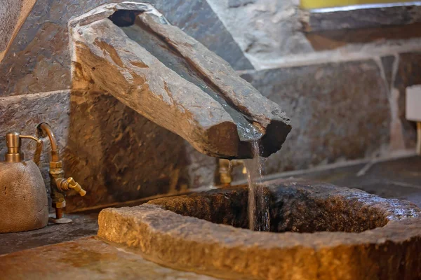 Güzel bir günde Portekiz, Lousa 'da güzel bir ortaçağ köyü Talasnal. Köyün caddesinde evcil köpeğiyle oynayan, kitap okuyan bir çocuk.